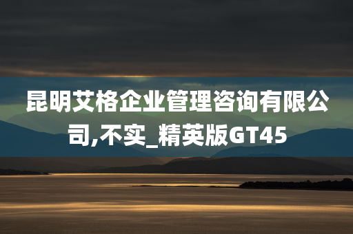 昆明艾格企业管理咨询有限公司,不实_精英版GT45