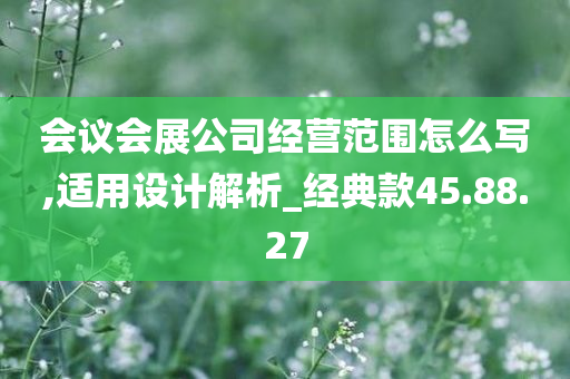 会议会展公司经营范围怎么写,适用设计解析_经典款45.88.27