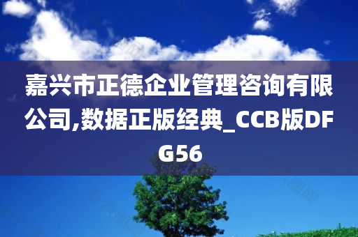 嘉兴市正德企业管理咨询有限公司,数据正版经典_CCB版DFG56