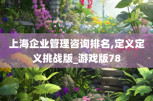 上海企业管理咨询排名,定义定义挑战版_游戏版78