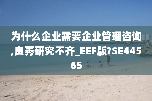 为什么企业需要企业管理咨询,良莠研究不齐_EEF版?SE44565