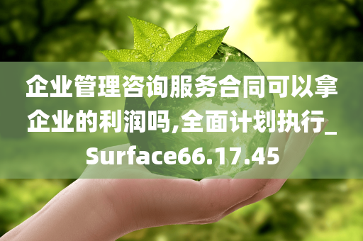 企业管理咨询服务合同可以拿企业的利润吗,全面计划执行_Surface66.17.45