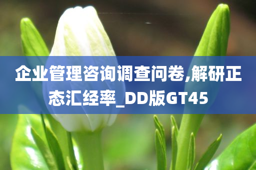 企业管理咨询调查问卷,解研正态汇经率_DD版GT45