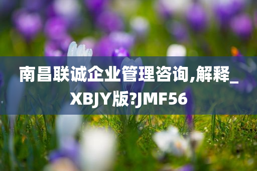 南昌联诚企业管理咨询,解释_XBJY版?JMF56