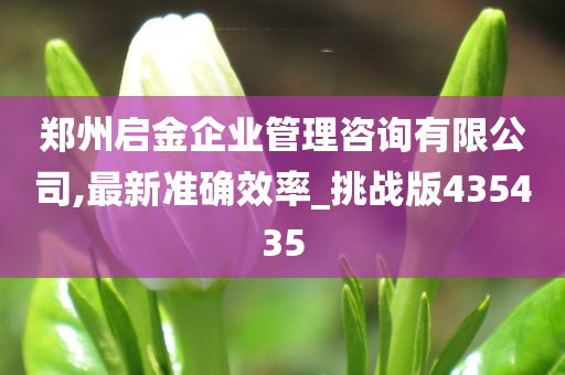 郑州启金企业管理咨询有限公司,最新准确效率_挑战版435435