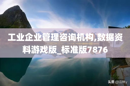 工业企业管理咨询机构,数据资料游戏版_标准版7876