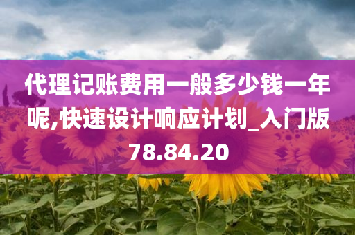 代理记账费用一般多少钱一年呢,快速设计响应计划_入门版78.84.20