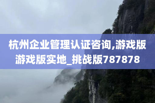 杭州企业管理认证咨询,游戏版游戏版实地_挑战版787878