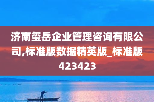 济南玺岳企业管理咨询有限公司,标准版数据精英版_标准版423423