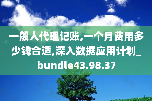 一般人代理记账,一个月费用多少钱合适,深入数据应用计划_bundle43.98.37