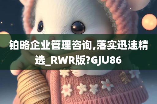 铂略企业管理咨询,落实迅速精选_RWR版?GJU86