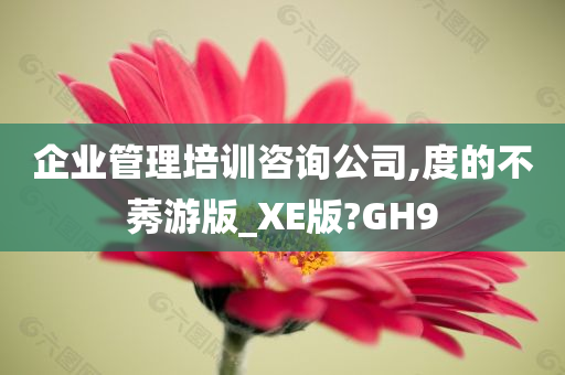 企业管理培训咨询公司,度的不莠游版_XE版?GH9