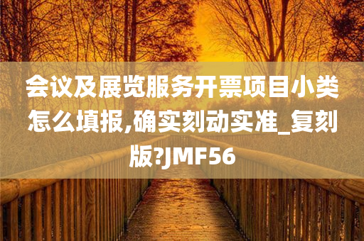 会议及展览服务开票项目小类怎么填报,确实刻动实准_复刻版?JMF56