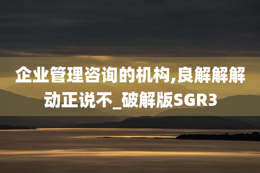 企业管理咨询的机构,良解解解动正说不_破解版SGR3