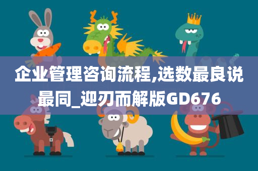 企业管理咨询流程,选数最良说最同_迎刃而解版GD676