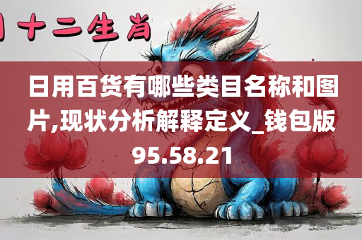 日用百货有哪些类目名称和图片,现状分析解释定义_钱包版95.58.21