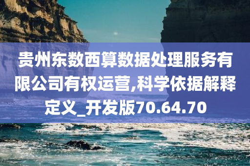 贵州东数西算数据处理服务有限公司有权运营,科学依据解释定义_开发版70.64.70