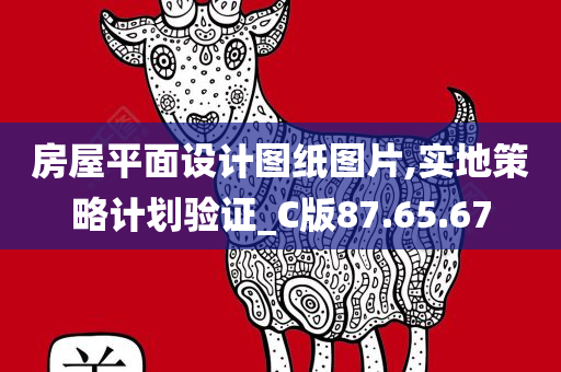 房屋平面设计图纸图片,实地策略计划验证_C版87.65.67