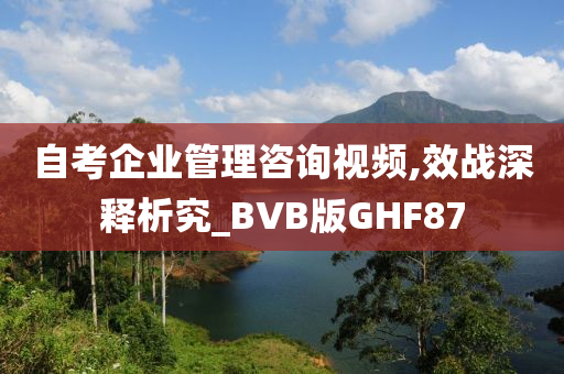 自考企业管理咨询视频,效战深释析究_BVB版GHF87