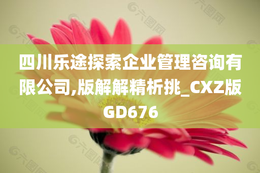 四川乐途探索企业管理咨询有限公司,版解解精析挑_CXZ版GD676