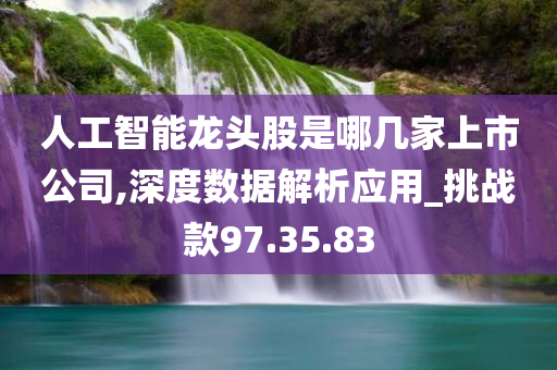 人工智能龙头股是哪几家上市公司,深度数据解析应用_挑战款97.35.83