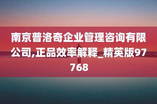 南京普洛奇企业管理咨询有限公司,正品效率解释_精英版97768