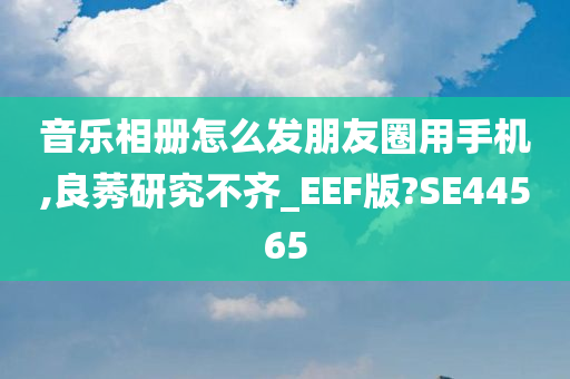 音乐相册怎么发朋友圈用手机,良莠研究不齐_EEF版?SE44565