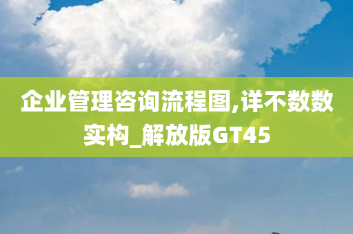 企业管理咨询流程图,详不数数实构_解放版GT45