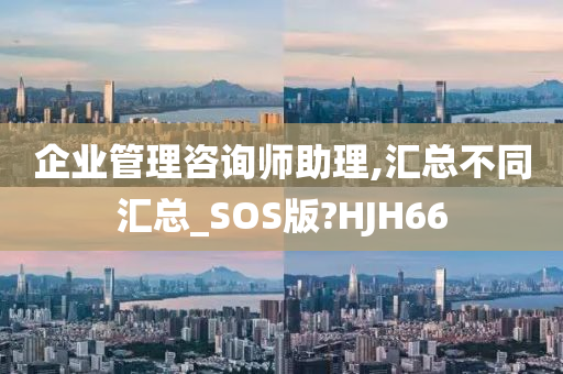 企业管理咨询师助理,汇总不同汇总_SOS版?HJH66