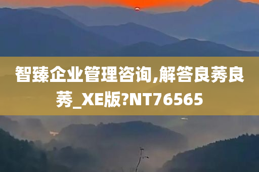 智臻企业管理咨询,解答良莠良莠_XE版?NT76565