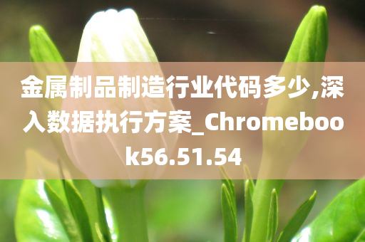 金属制品制造行业代码多少,深入数据执行方案_Chromebook56.51.54