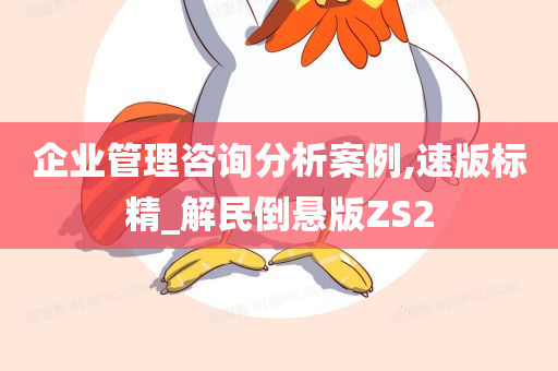 企业管理咨询分析案例,速版标精_解民倒悬版ZS2