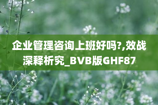 企业管理咨询上班好吗?,效战深释析究_BVB版GHF87