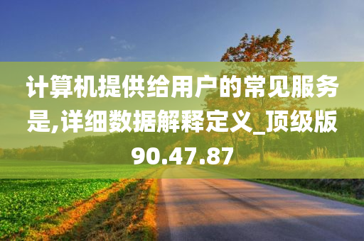 计算机提供给用户的常见服务是,详细数据解释定义_顶级版90.47.87