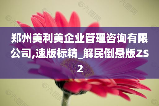 郑州美利美企业管理咨询有限公司,速版标精_解民倒悬版ZS2