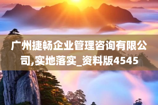 广州捷畅企业管理咨询有限公司,实地落实_资料版4545