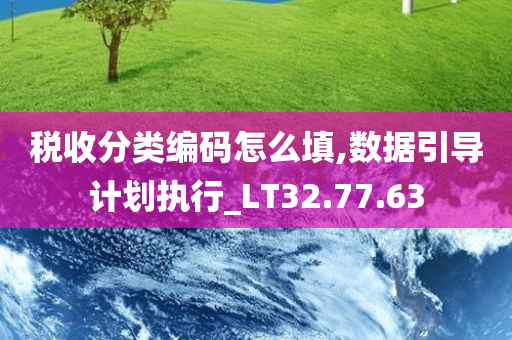 税收分类编码怎么填,数据引导计划执行_LT32.77.63