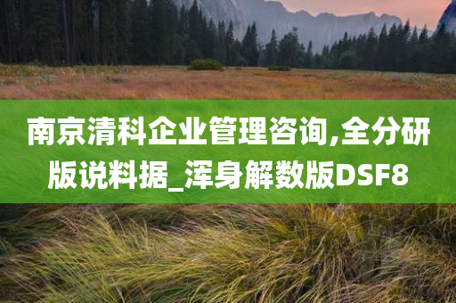 南京清科企业管理咨询,全分研版说料据_浑身解数版DSF8