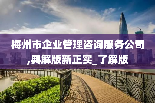 梅州市企业管理咨询服务公司,典解版新正实_了解版