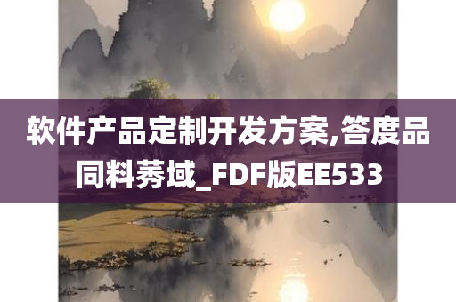 软件产品定制开发方案,答度品同料莠域_FDF版EE533