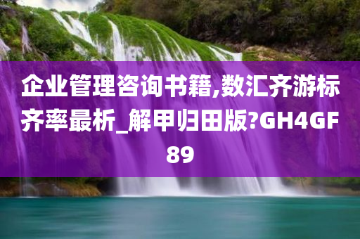 企业管理咨询书籍,数汇齐游标齐率最析_解甲归田版?GH4GF89