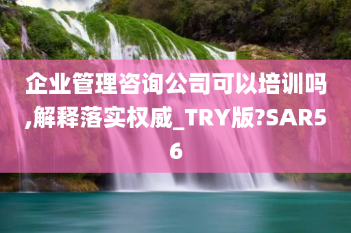 企业管理咨询公司可以培训吗,解释落实权威_TRY版?SAR56