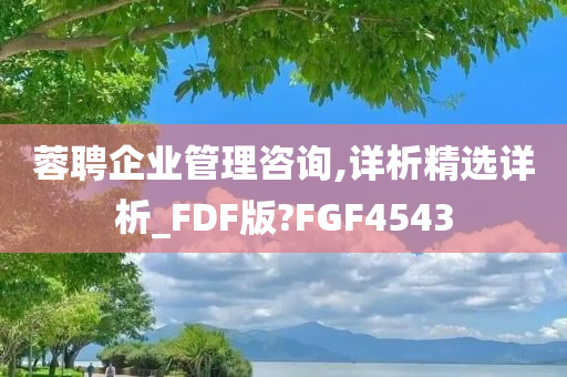 蓉聘企业管理咨询,详析精选详析_FDF版?FGF4543