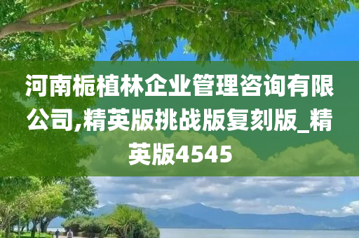 河南栀植林企业管理咨询有限公司,精英版挑战版复刻版_精英版4545