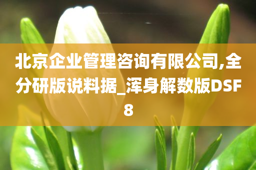 北京企业管理咨询有限公司,全分研版说料据_浑身解数版DSF8