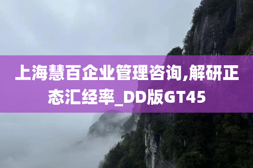 上海慧百企业管理咨询,解研正态汇经率_DD版GT45