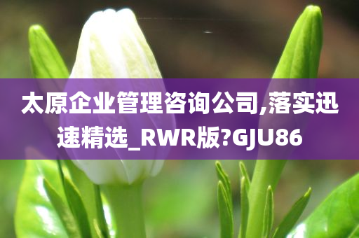 太原企业管理咨询公司,落实迅速精选_RWR版?GJU86