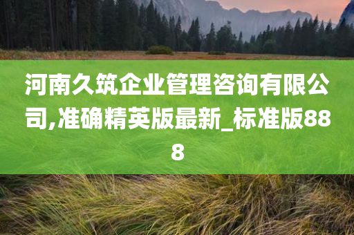 河南久筑企业管理咨询有限公司,准确精英版最新_标准版888