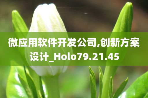 微应用软件开发公司,创新方案设计_Holo79.21.45