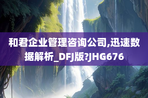 和君企业管理咨询公司,迅速数据解析_DFJ版?JHG676